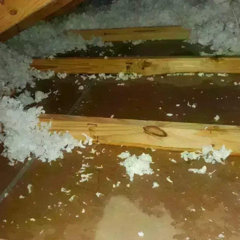 Attic Water Damage in Crowley, LA