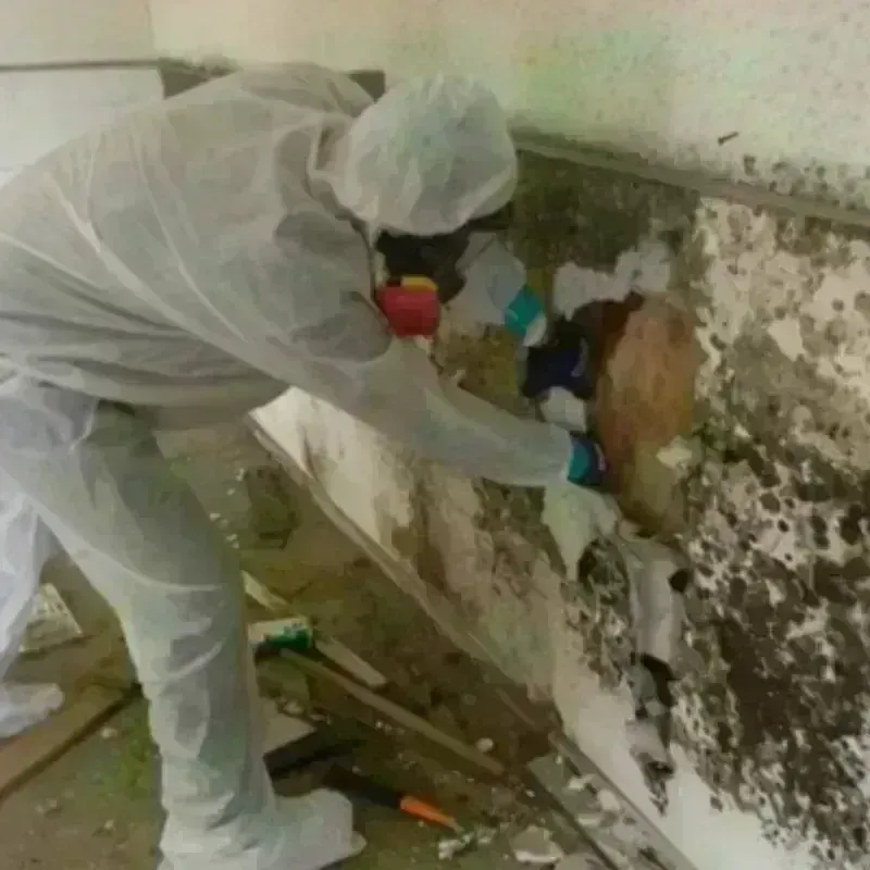 Mold Remediation and Removal in Crowley, LA