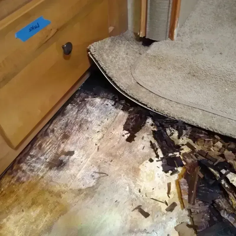 Wood Floor Water Damage in Crowley, LA